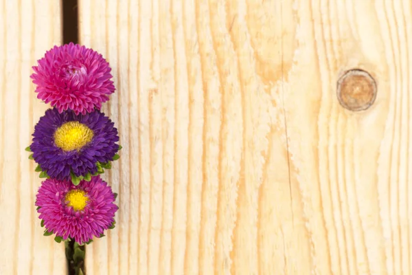 kereste ve çiçekler