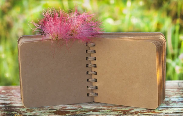 kız için hurda kitap