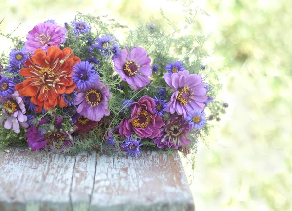 Tahta bir bankta çiçekler