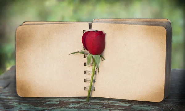 eski moda günlüğü