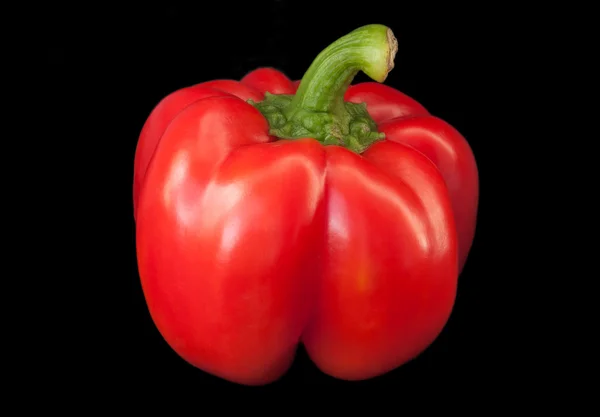 Rode paprika. — Stockfoto