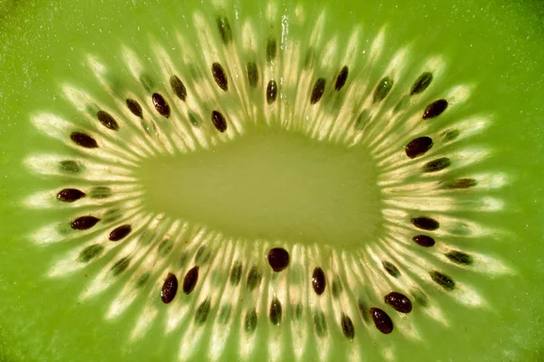 Detalhe kiwi — Fotografia de Stock