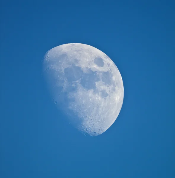 Lune sur ciel bleu. — Photo