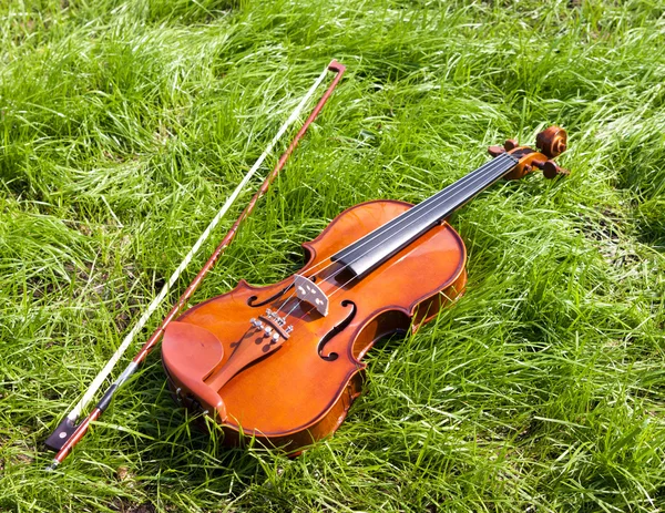 Violino. — Fotografia de Stock