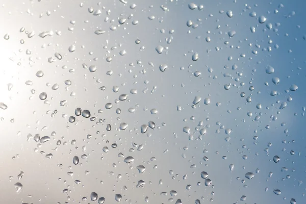 Drops on a glass. — Stock Photo, Image