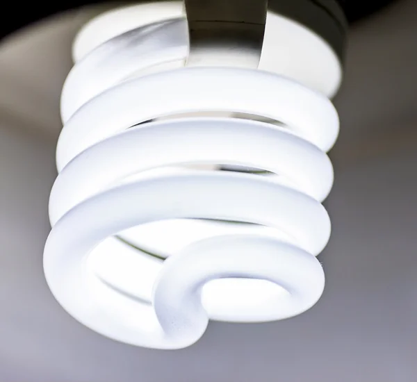 Energy Saving lamp. — Stock Photo, Image