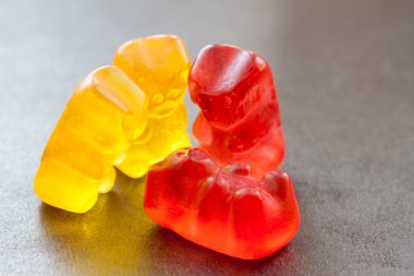 üç ayı ile bir ölü jöle.