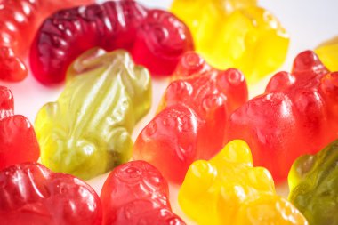 jöle ayılar ve kurbağa.