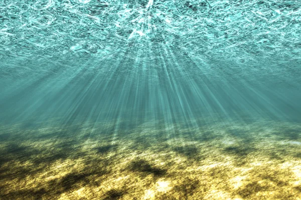 Undervattensvärlden. — Stockfoto