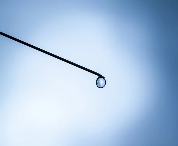 Drop on the tip of needle. — Stock Photo, Image