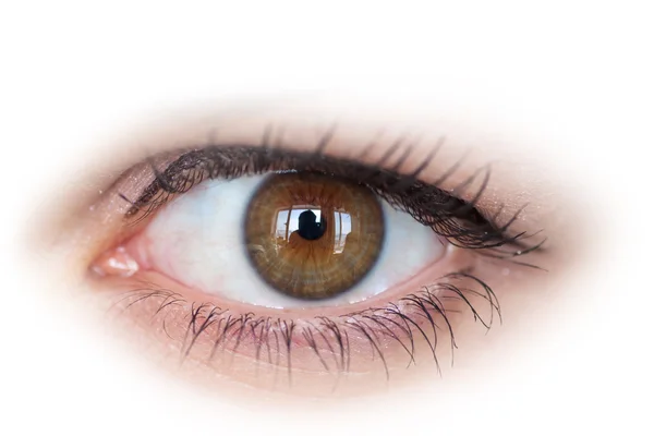 Human eye. — Stock Photo, Image