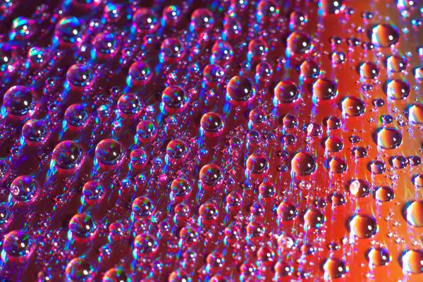 Water drops on glass. — Stock Photo, Image