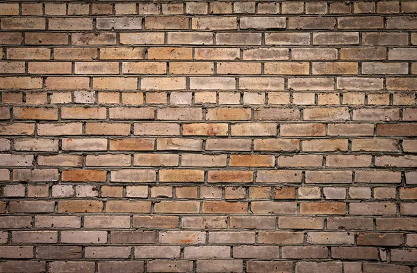 Mur de briques . — Photo