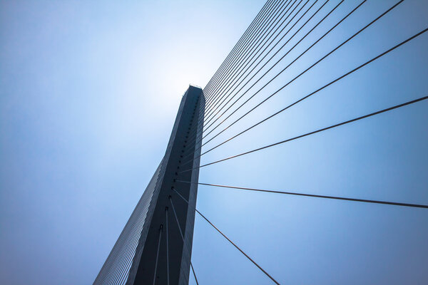 Fragment of a cable stayed bridge.