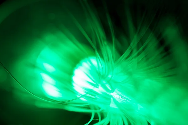 Yeşil fiber optik. — Stok fotoğraf