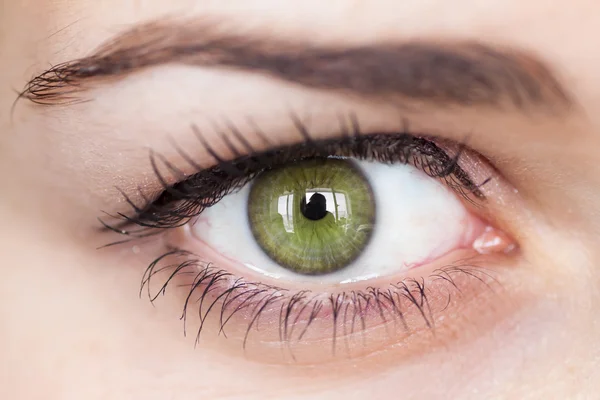 緑色の目. — ストック写真