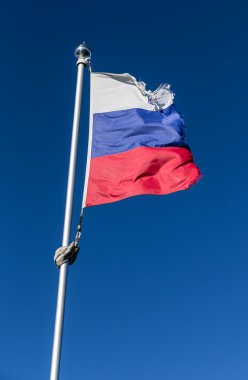 lime lime bayrağı.