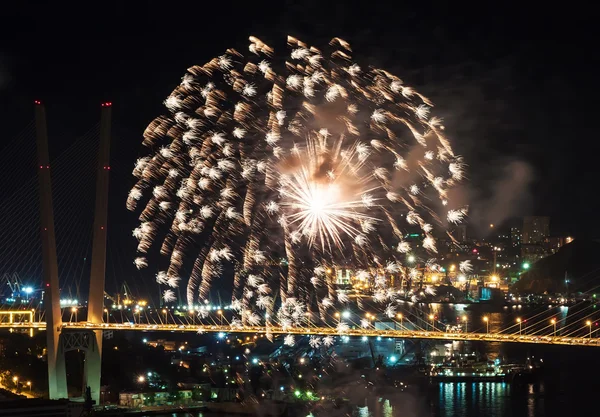 Fireworks. — Stock Photo, Image