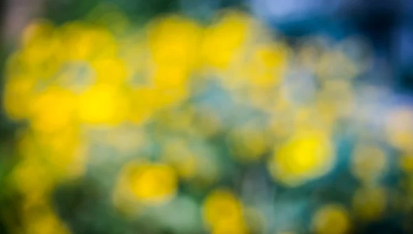 Sfondo giallo Bokeh . — Foto Stock