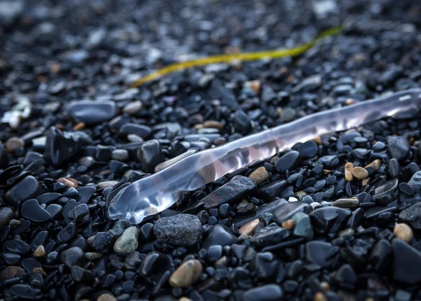 Tentacle of jellyfish. — Stock Photo, Image