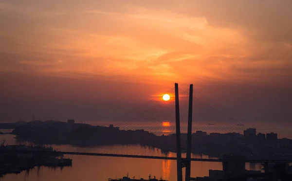 Vladivostok cityscape. — Stok fotoğraf