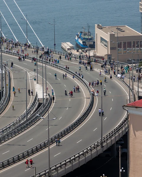 Flashmob "vladivostok seviyorum". — Stok fotoğraf