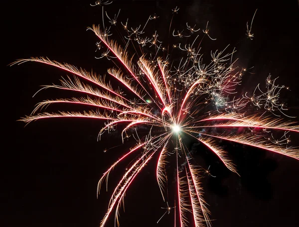 Fireworks. — Stock Photo, Image