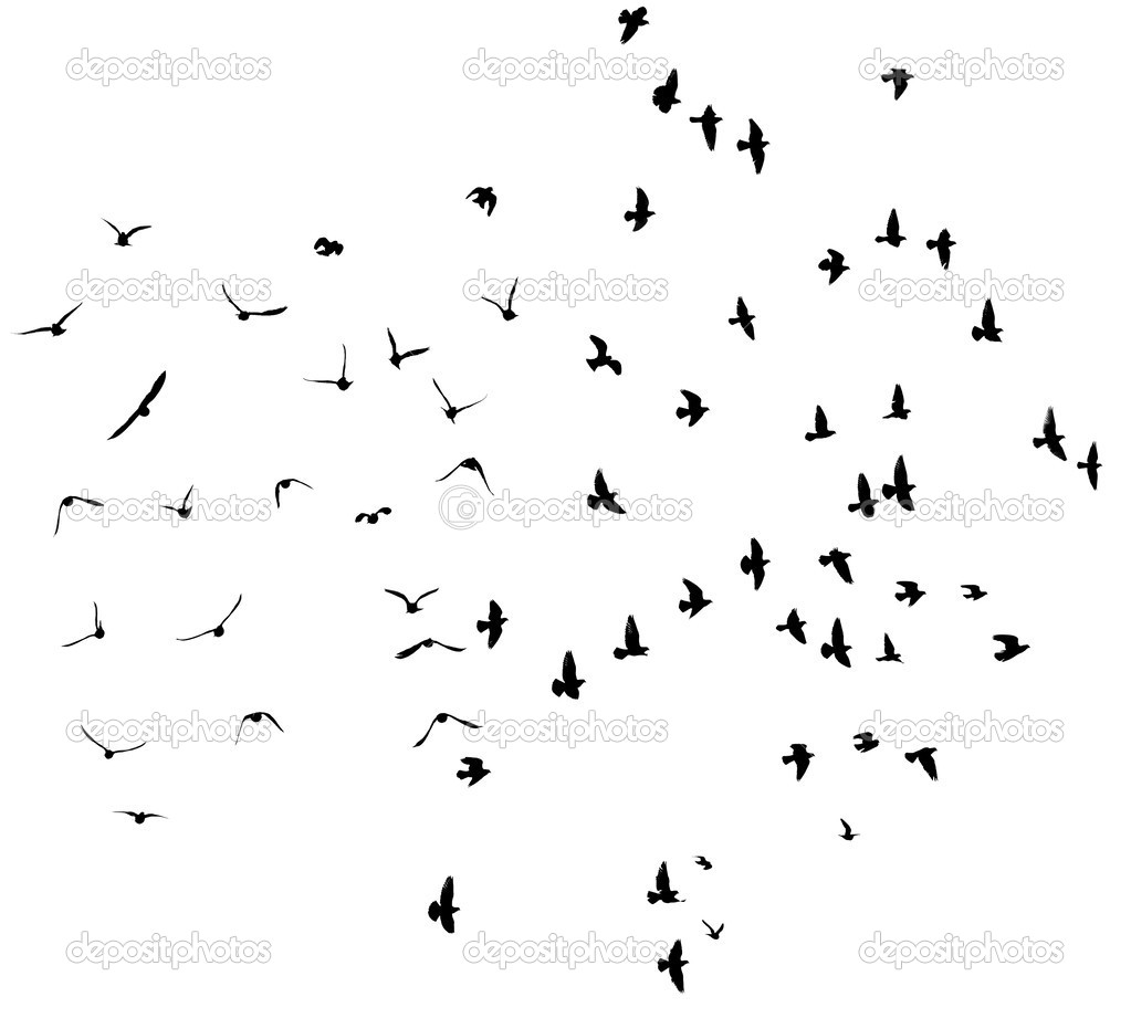 Silhouette of flying pigeons.