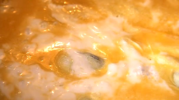 Omlette wordt gekookt in een koekenpan. — Stockvideo