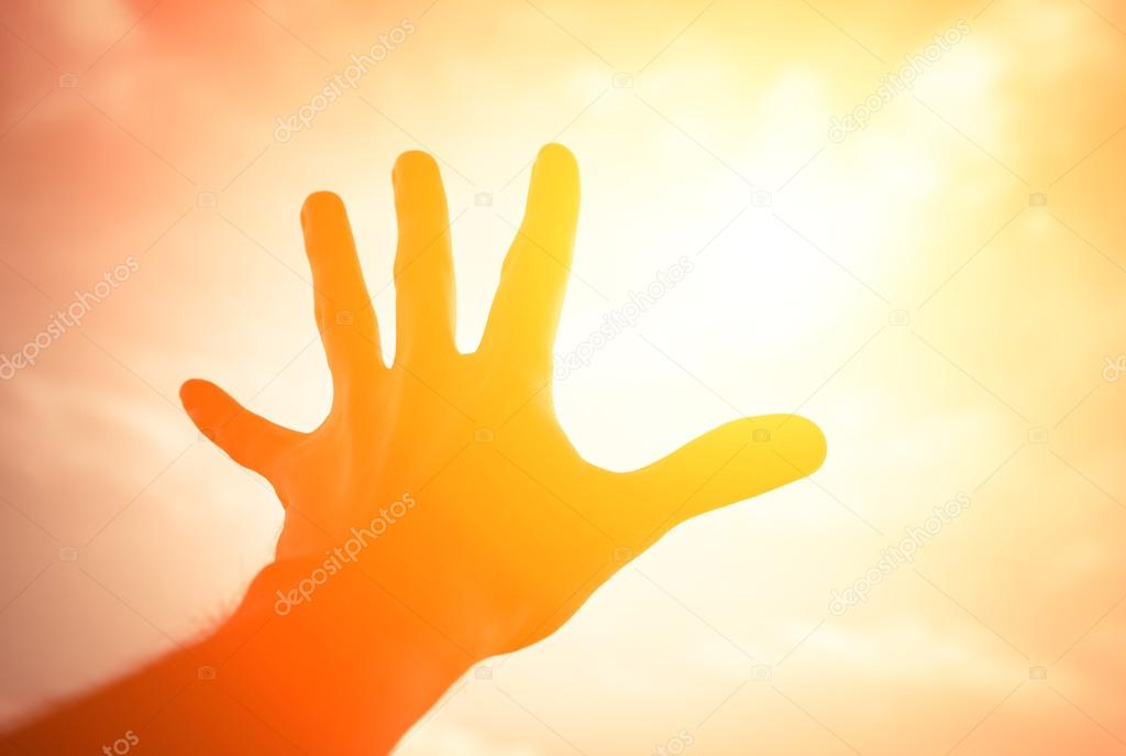eevl