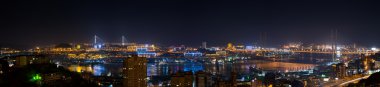 Vladivostok cityscape, gece görünümü.