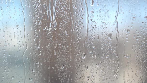 Waterdruppels. — Stockvideo