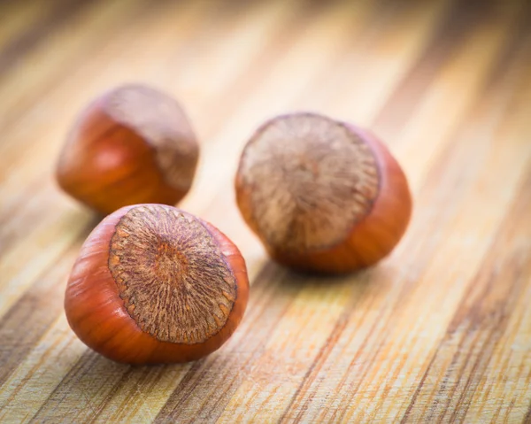 Haselnüsse. — Stockfoto