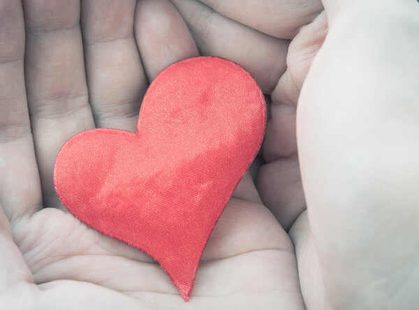 красное сердце в руках.