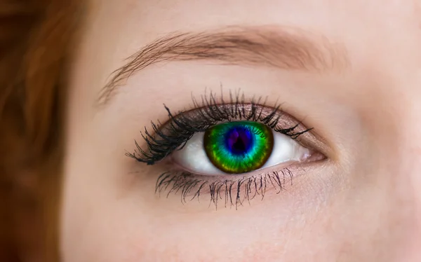 Multicolored eye. — Stock Photo, Image