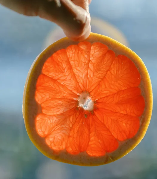 Mit Der Hand Eine Scheibe Grapefruit Über Den Himmelshintergrund Halten — Stockfoto