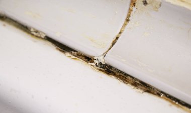 Mantar ve küf banyoda.