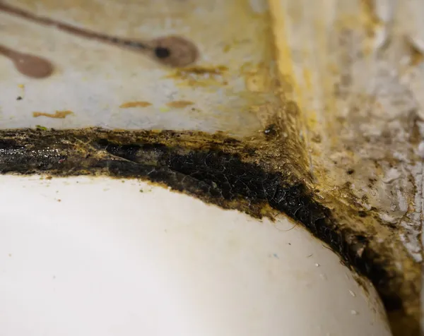 Fungus Mold Bathroom — Stock Photo, Image