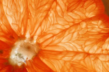 Taze dilimlenmiş greyfurt. Seçici odak.