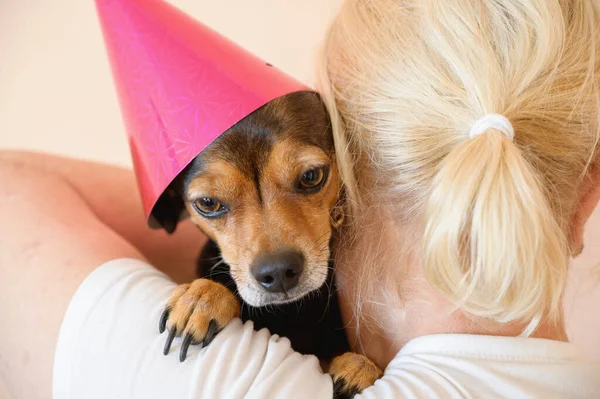 Petit Chien Drôle Avec Une Casquette Sur Tête — Photo