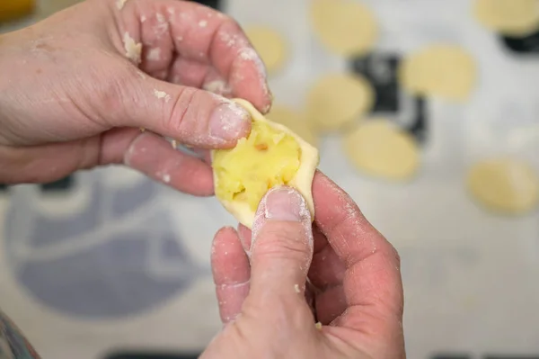 Making Dumplings Home Selective Focus Stock Picture