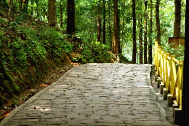 yol ve kaldırım taş günlük koydu