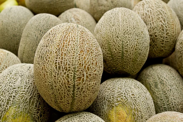 Pepene galben sau Cantalupa — Fotografie, imagine de stoc