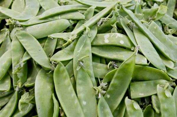 Snow peas — Stock Photo, Image