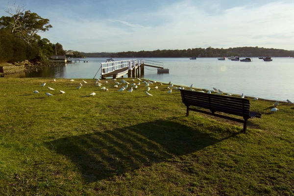 Parco e natura — Foto Stock