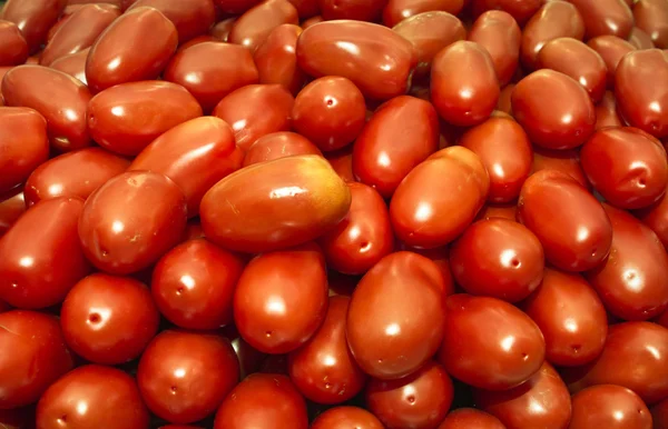Roma tomaten- of roma — Stockfoto