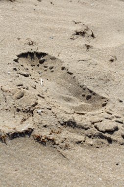 kum üzerinde adımlar