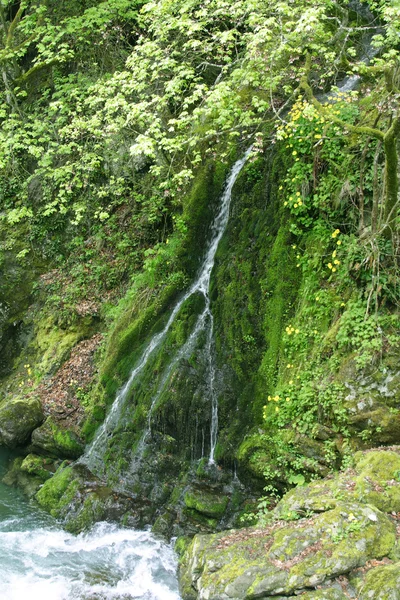保加利亚的瀑布 — 图库照片