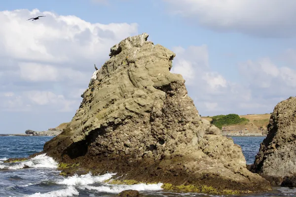 Plaj kayalar ile — Stok fotoğraf