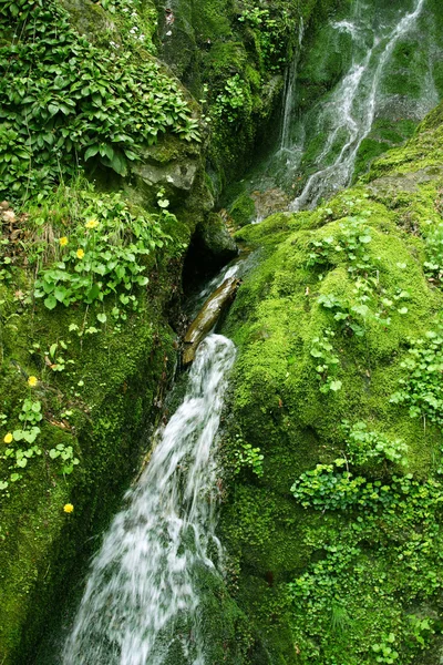 Водоспад — стокове фото